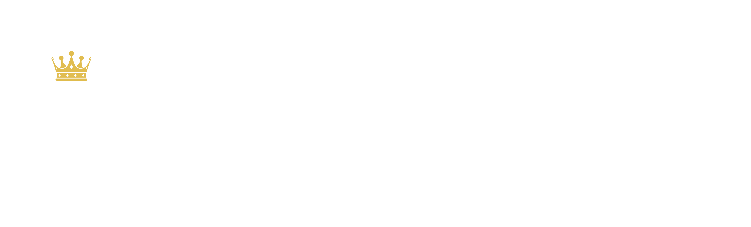Rei do Rastreamento - Empresa de Rastreamento Veicular em Paranavaí PR